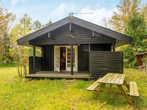 Ferienhaus für 4 Personen (50 m²) in Fårvang