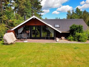 Ferienhaus für 6 Personen (66 m²) in Fårvang