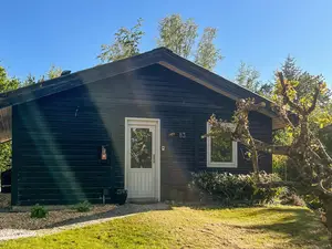 Ferienhaus für 6 Personen (58 m²) in Fårvang