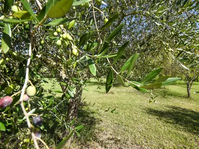outside