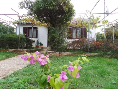 Ferienhaus für 4 Personen (40 m²) in Fažana 2/10