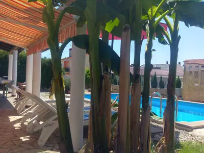 Ferienhaus für 6 Personen (85 m²) in Valbandon 6/10