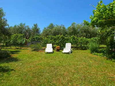 Ferienhaus für 8 Personen (80 m²) in Fažana 5/10