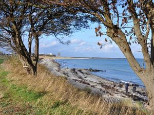 Ferienhaus für 6 Personen (78 m&sup2;) in Fehmarn