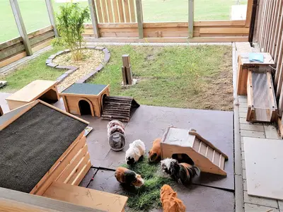 Ferienhaus für 5 Personen (80 m²) in Fehmarn 5/10