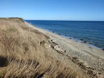 Ferienhaus für 2 Personen (48 m²) in Fehmarn 8/8