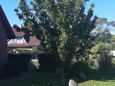 Ferienhaus für 8 Personen (165 m²) in Fehmarn 3/10