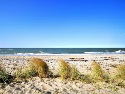 Ferienhaus für 4 Personen (33 m²) in Fehmarn 6/10