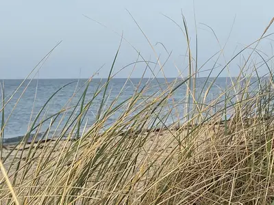 Ferienhaus für 4 Personen (100 m²) in Fehmarn 4/10