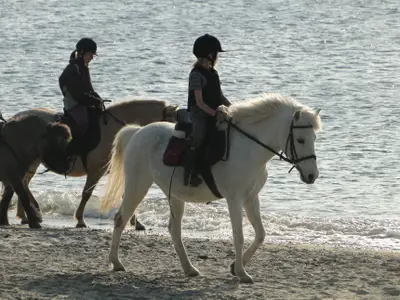 Ferienhaus für 4 Personen (75 m²) in Fehmarn 9/10