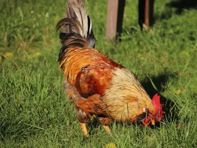 photo-2022-09-02-11-39-044