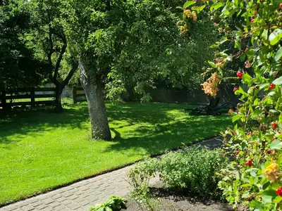 Ferienhaus für 4 Personen (38 m²) in Fehmarn 2/10