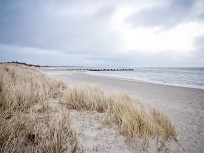 Ferienhaus für 3 Personen (60 m²) in Fehmarn 2/10