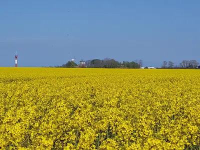 Ferienhaus für 4 Personen (52 m²) in Fehmarn 7/10