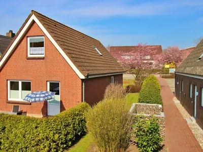 Ferienhaus für 6 Personen (100 m²) in Fehmarn 5/10