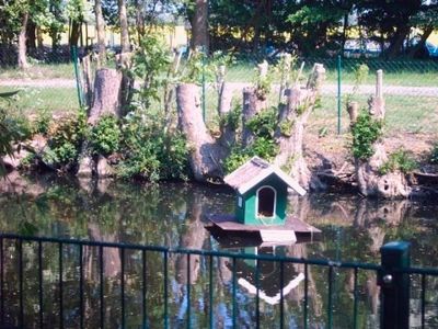 Ferienhaus für 5 Personen (67 m²) in Fehmarn / Mittelhof 9/10