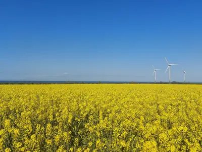 Ferienhaus für 3 Personen (50 m²) in Fehmarn 10/10