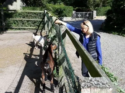 Ferienhaus für 10 Personen (155 m²) in Fehmarn / Sahrensdorf 4/10