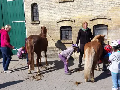 Ferienhaus für 4 Personen (77 m²) in Fehmarn 9/10