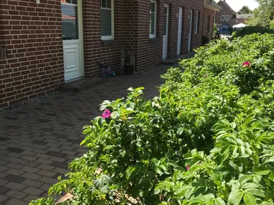 Ferienhaus für 5 Personen (81 m²) in Fehmarn 4/10
