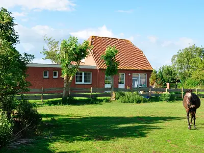 Ferienhaus für 6 Personen (90 m²) in Fehmarn 9/10