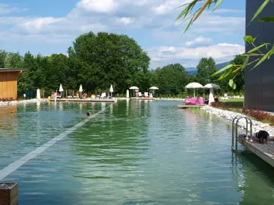 herrlicher Schwimmteich bei uns im Feriendorf - schwimmen, relaxen, abkühlen