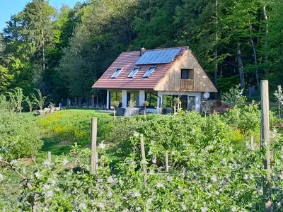Ansicht Haus mit Obstgarten
