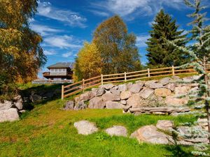 23981380-Ferienhaus-14-Feldberg (Hochschwarzwald)-300x225-2