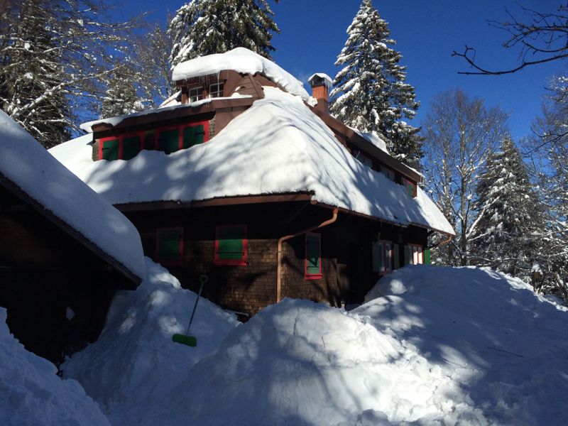 19291176-Ferienhaus-12-Feldberg (Hochschwarzwald)-800x600-1