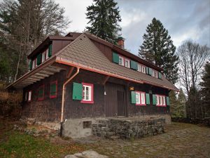 19291176-Ferienhaus-12-Feldberg (Hochschwarzwald)-300x225-3