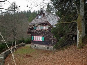 19291176-Ferienhaus-12-Feldberg (Hochschwarzwald)-300x225-5