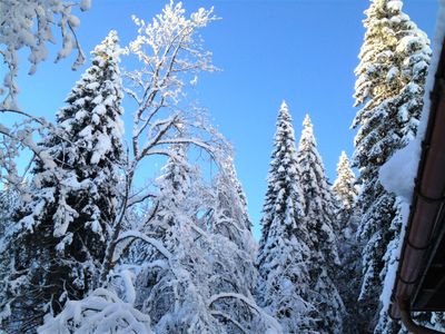 Winterlandschaft