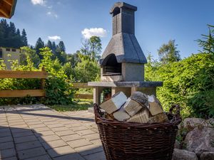 19399119-Ferienhaus-20-Feldberg (Hochschwarzwald)-300x225-2