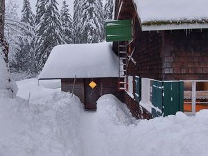 24052433-Ferienhaus-18-Feldberg (Hochschwarzwald)-300x225-5