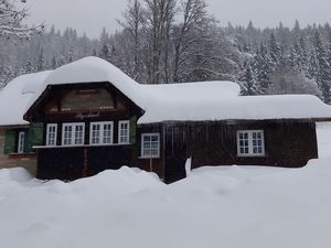 24052435-Ferienhaus-8-Feldberg (Hochschwarzwald)-300x225-5