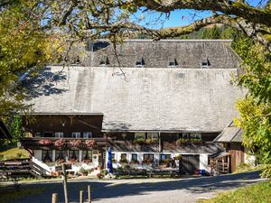 Ferienhaus für 18 Personen (84 m²) in Feldberg (Hochschwarzwald)