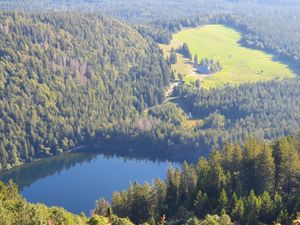 24052435-Ferienhaus-8-Feldberg (Hochschwarzwald)-300x225-2