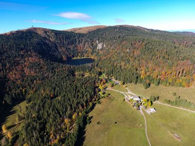 Im Naturschutzgebiet Feldberg am Feldsee