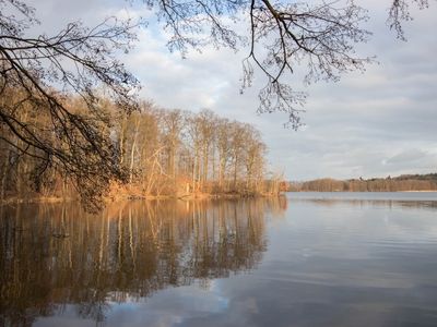 Ferienhaus für 4 Personen (60 m²) in Feldberger Seenlandschaft 5/10