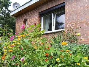 Ferienhaus für 2 Personen (55 m²) in Feldberger Seenlandschaft
