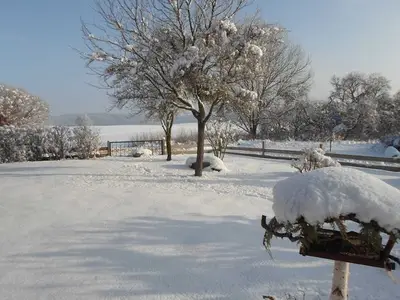 Ferienhaus für 2 Personen (56 m²) in Feldberger Seenlandschaft 1/10