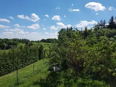 Ferienhaus für 3 Personen (50 m²) in Feldberger Seenlandschaft 4/10