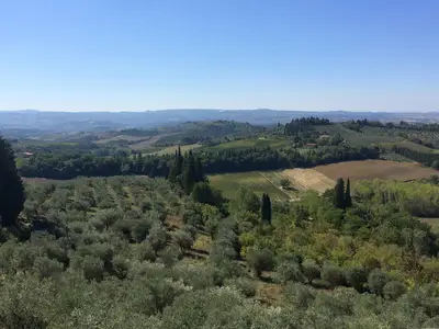 view-from-room