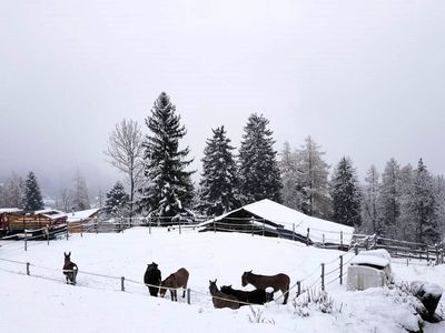 ViewWinter