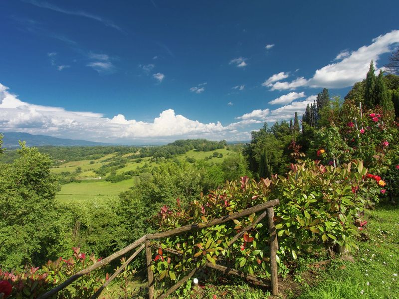 19351250-Ferienhaus-4-Figline Valdarno-800x600-1