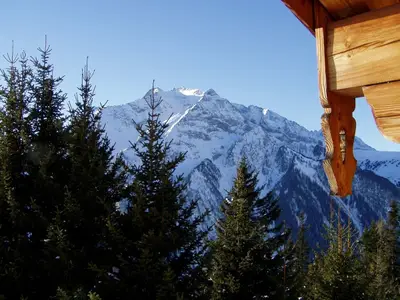 Ferienhaus für 10 Personen (160 m²) in Finkenberg 8/10