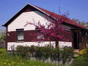 Ferienhaus für 4 Personen (55 m²) in Fischbach (Gotha)