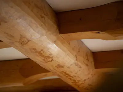 Ambiente / Nahaufnahme