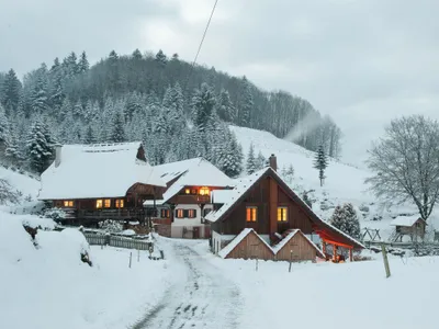 hoferwachen