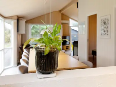 Indoor
